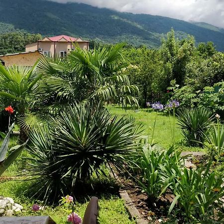 Tikhaya Gavan Guest House Gagra Exterior foto