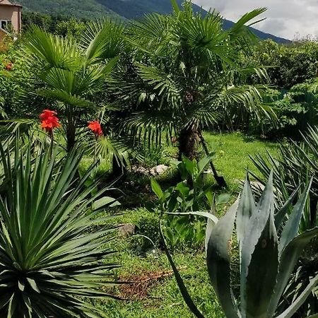 Tikhaya Gavan Guest House Gagra Exterior foto