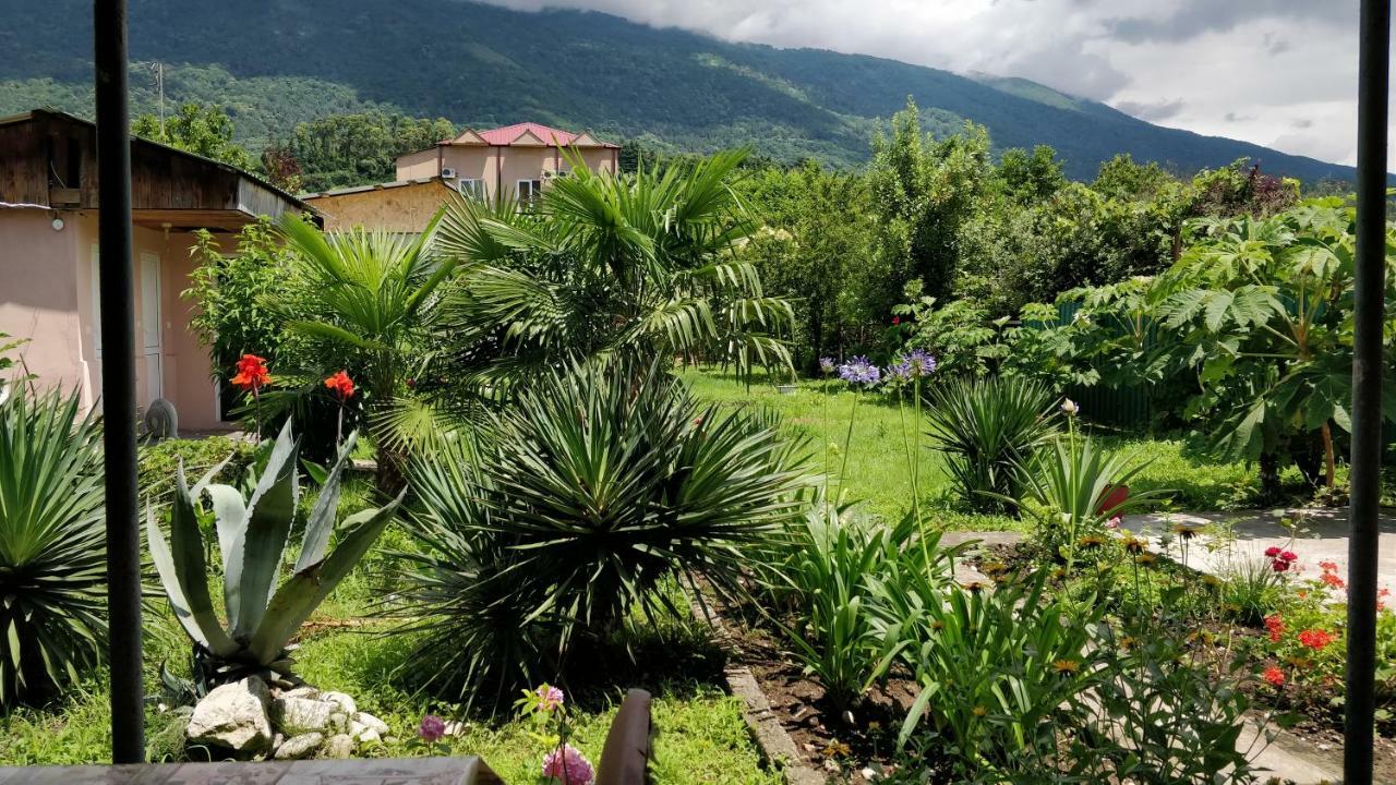 Tikhaya Gavan Guest House Gagra Exterior foto