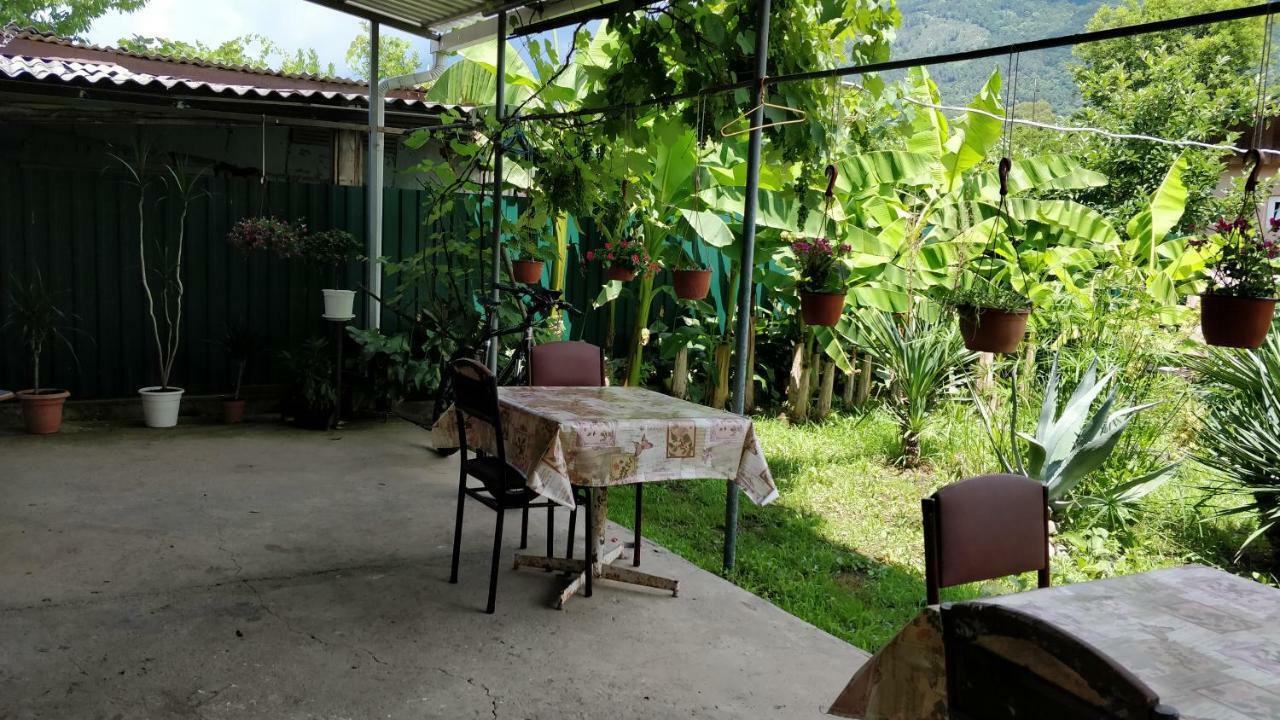 Tikhaya Gavan Guest House Gagra Exterior foto